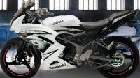 Produksi Kawasaki Ninja RR 150 Dalam Pengembangan Untuk Lulus Uji Euro III